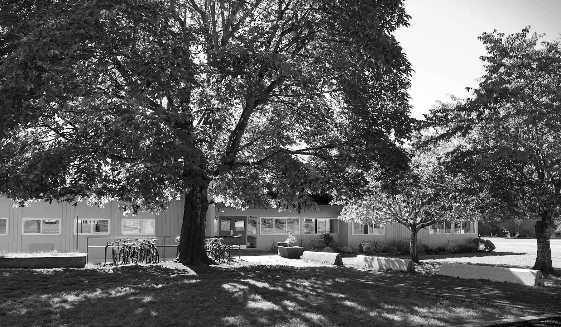 P1100732 bw
